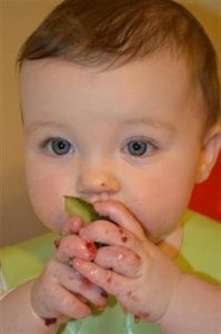 cucumber
