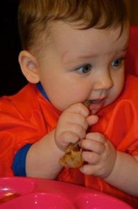 chicken bone