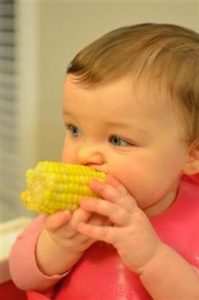 corn on the cob