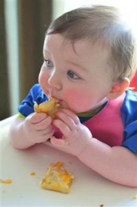 tuna muffin melts